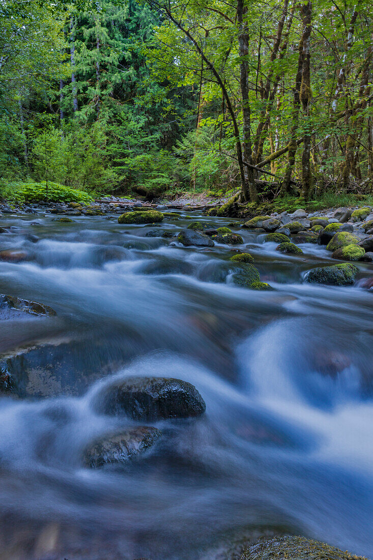 Kaskade im South Fork of the McKenzie River im Willamette National Forest, Oregon, USA (Großformate verfügbar)