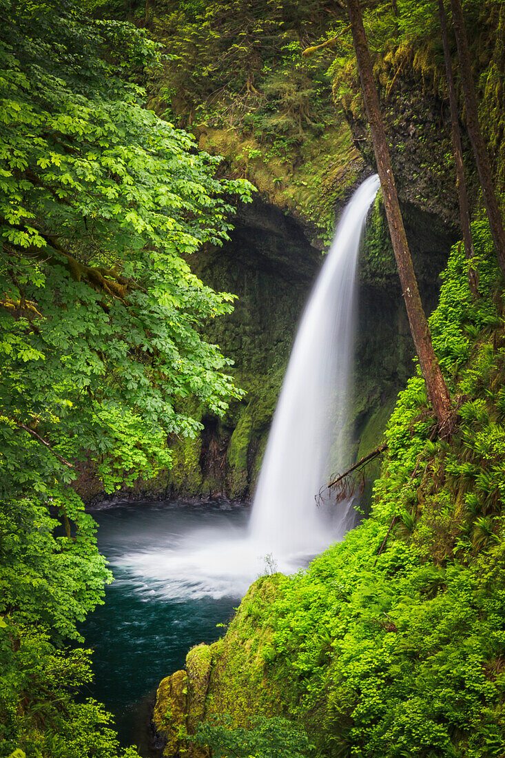 USA, Oregon, Hood River County. Metlako Falls am Eagle Creek in der Columbia River Gorge.