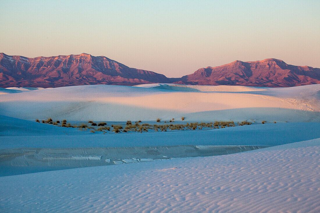 USA, New Mexico. White Sands National Monument landscape of brush, sand and mountains