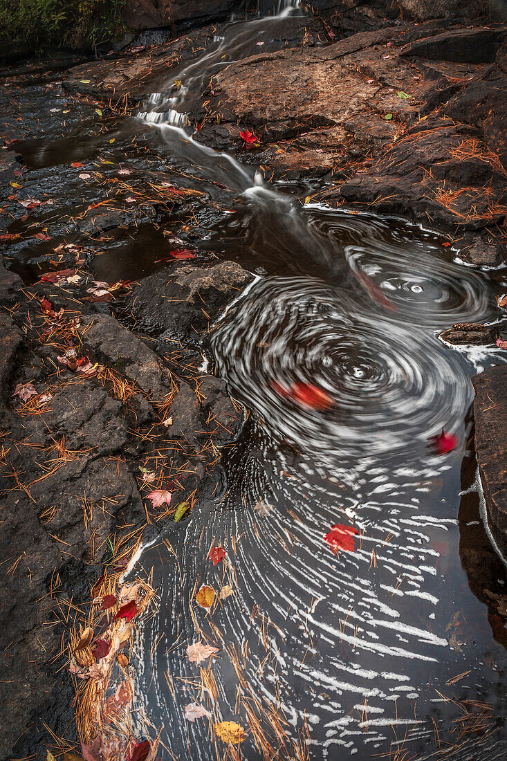 USA, New York, Adirondack State Park. Bachwirbel