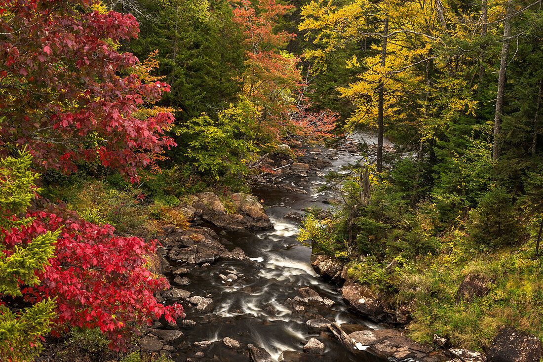 USA, New York, Adirondack State Park. Bach und Wald im Herbst