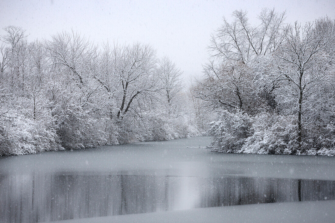USA, New York State. Winter snowfall on the Erie Canal, Cedar Bay Park.