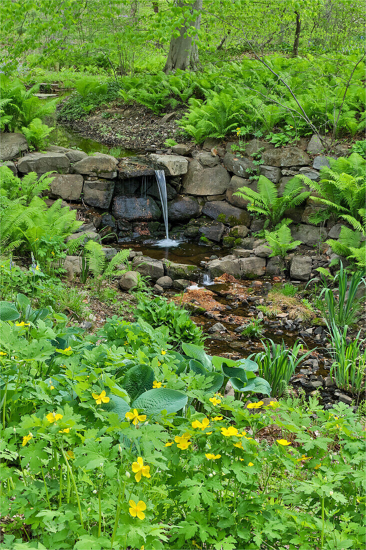 Blumen entlang des Bell's Run Creek, Chanticleer Garden, Wayne, Pennsylvania