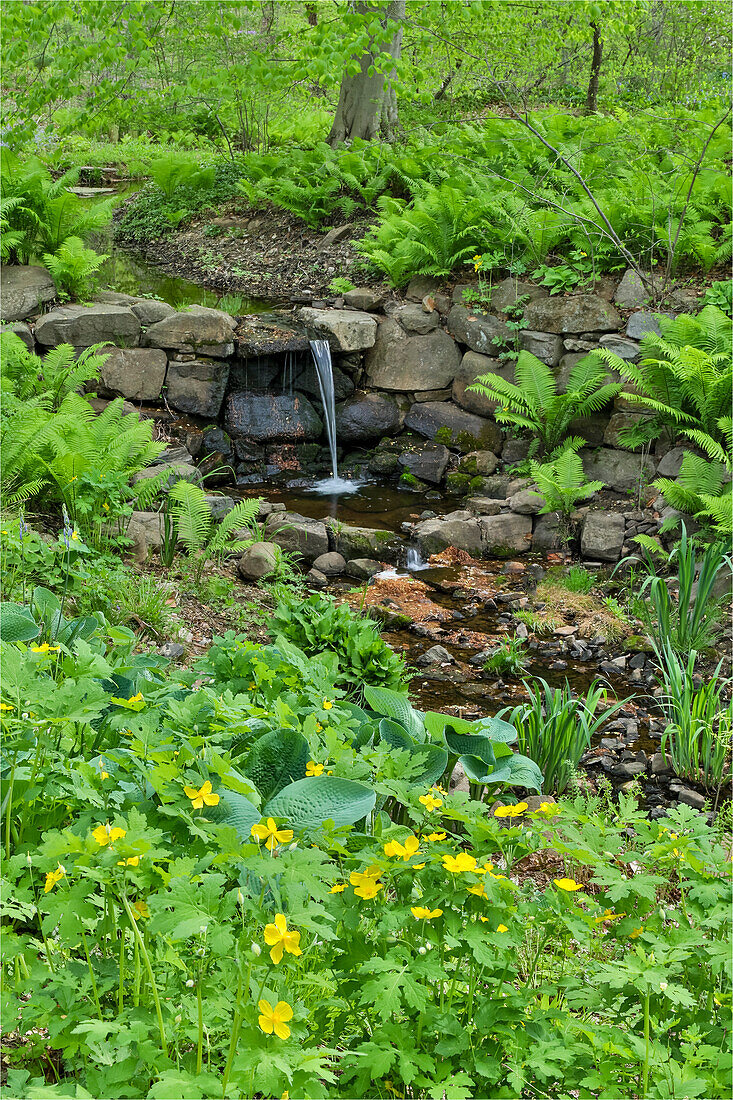 Flowers along Bell's Run Creek, Chanticleer Garden, Wayne, Pennsylvania