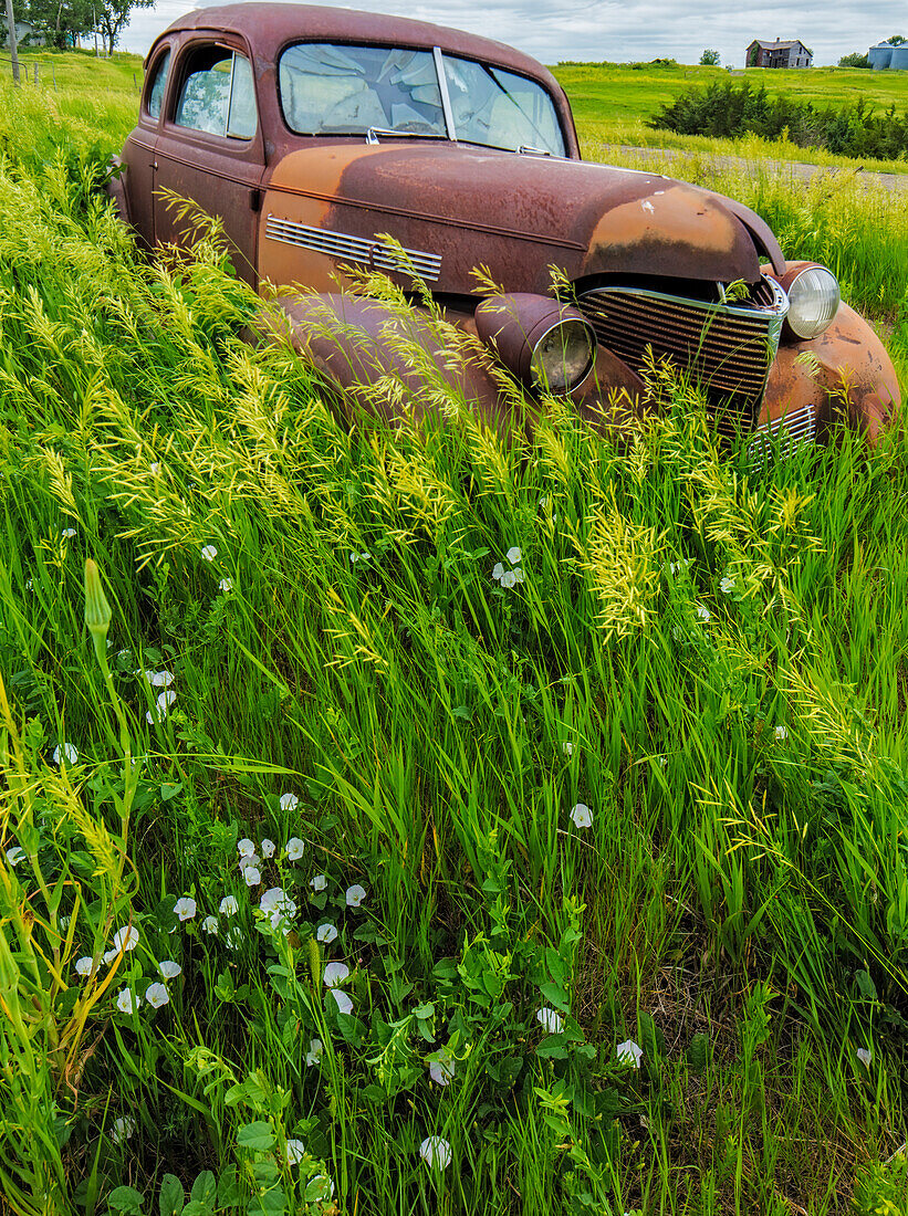 Rusty old vehicles in the ghost town of Okaton, South Dakota, USA (Large format sizes available)