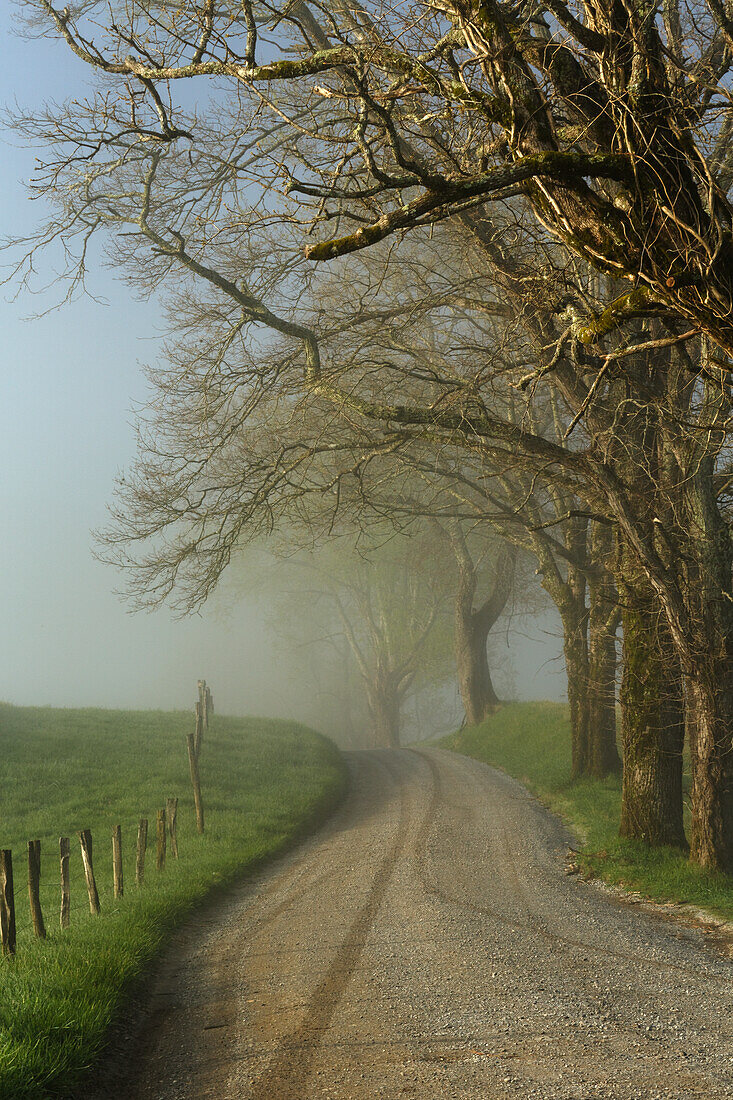 Frühmorgendlicher Blick auf die Sparks Lane, Cades Cove, Great Smoky Mountains National Park, Tennessee