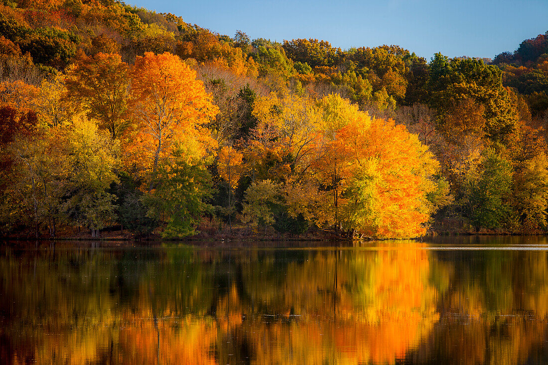 Herbstfärbung am Radnor Lake, Nashville Tennessee, USA