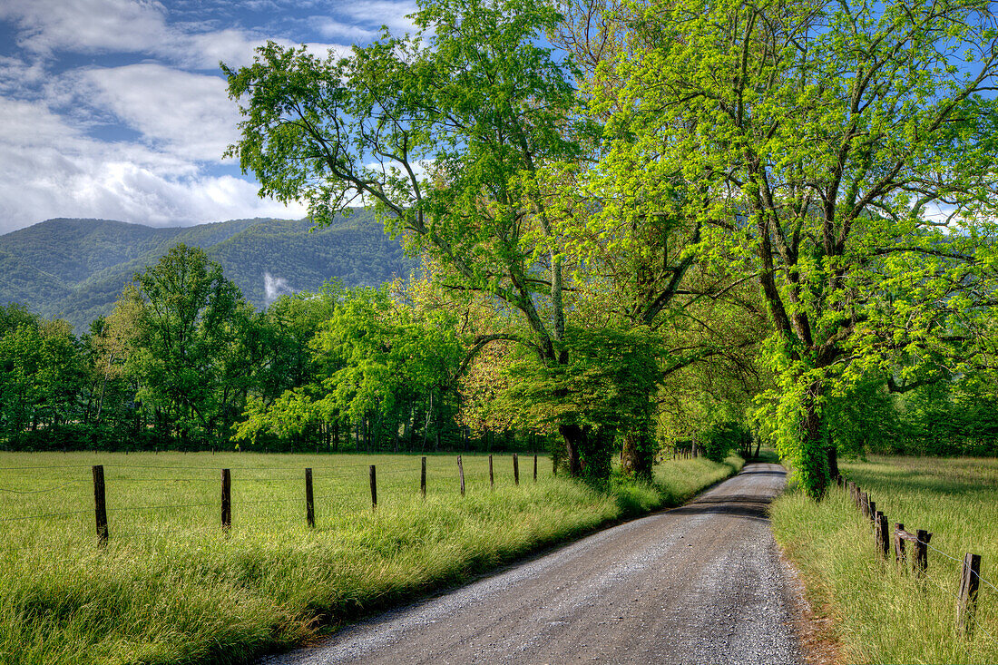 USA, Tennessee, Great Smoky Mountains National Park. Schotterstraße in Cades Cove