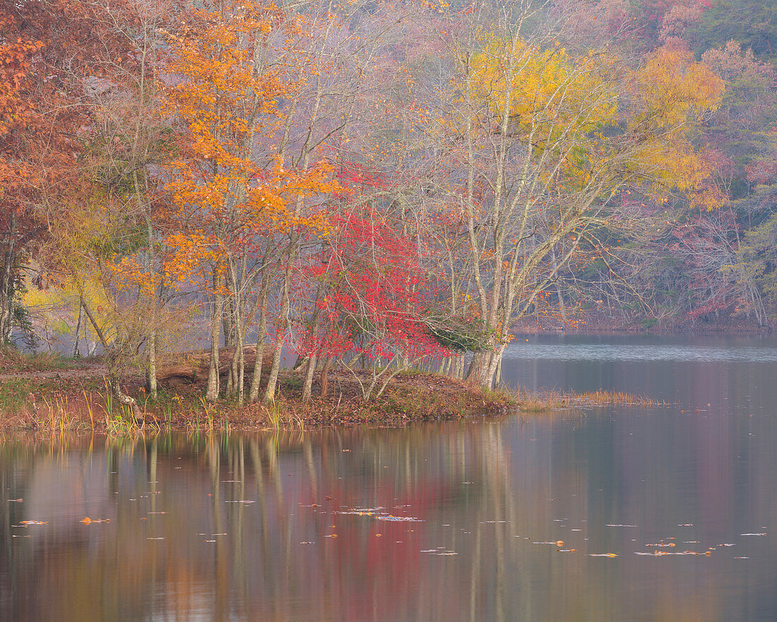 USA, Tennessee, Falls Creek Falls State Park. Herbstwald spiegelt sich im See