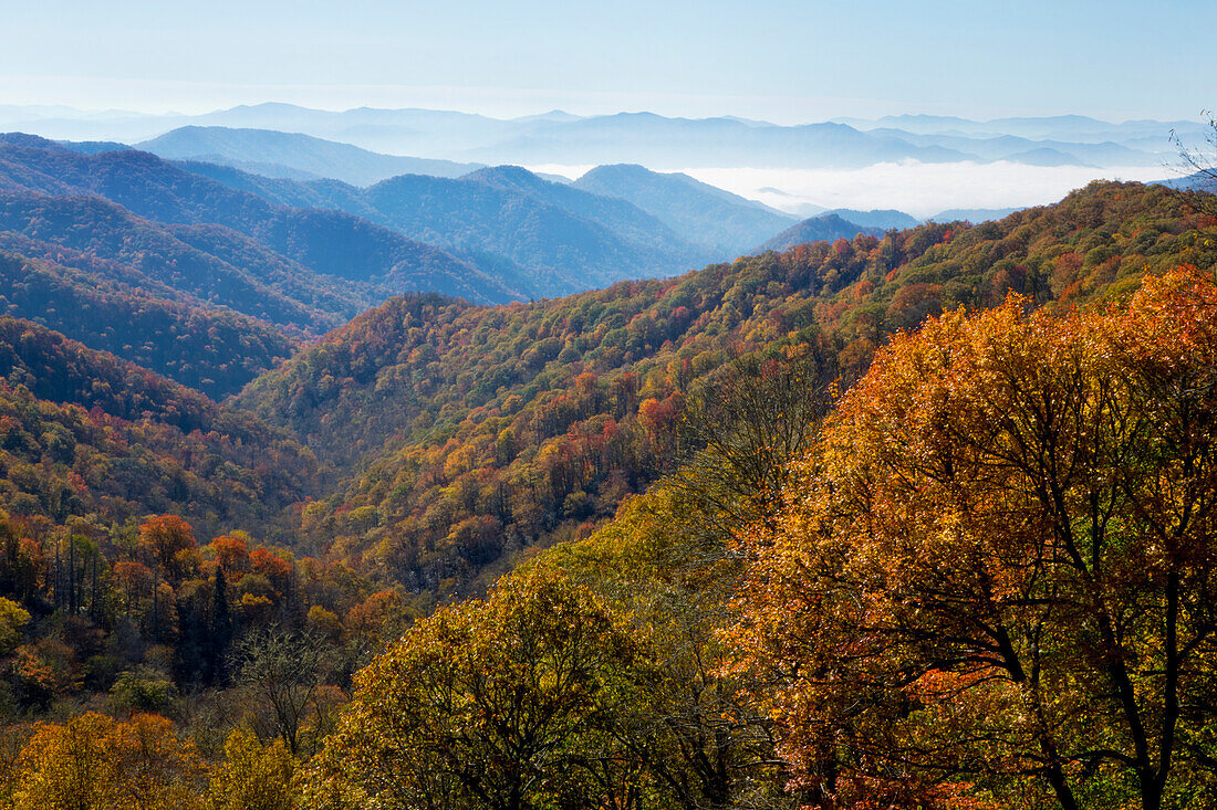 Herbstfärbung der Bäume, Blick auf die Berge, Nebel im Tal, Great Smoky Mountain National Park, Tennessee