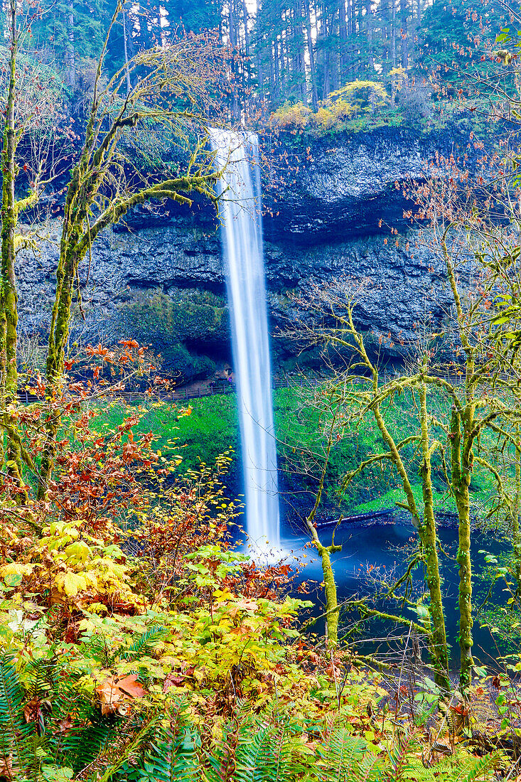 USA, Oregon, Silver Falls State Park, South Falls