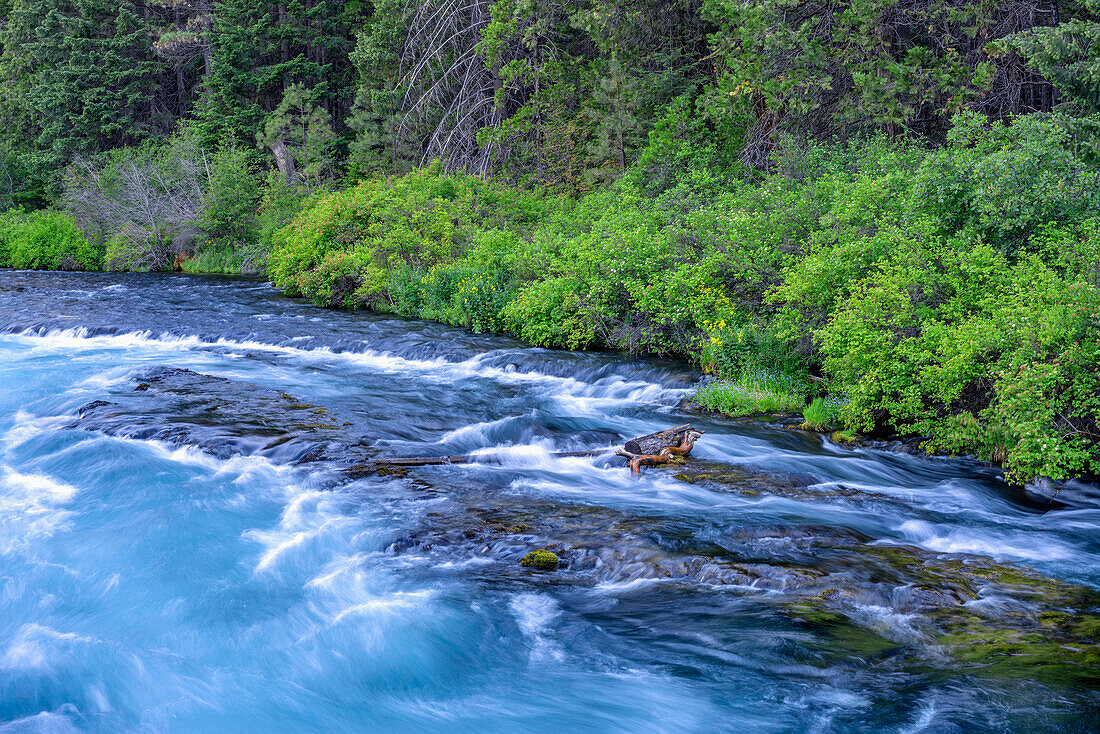 USA, Oregon, Deschutes National Forest, Wizard Falls und Sommervegetation entlang des Metolius River, einem von der Regierung als wild und landschaftlich reizvoll eingestuften Fluss.