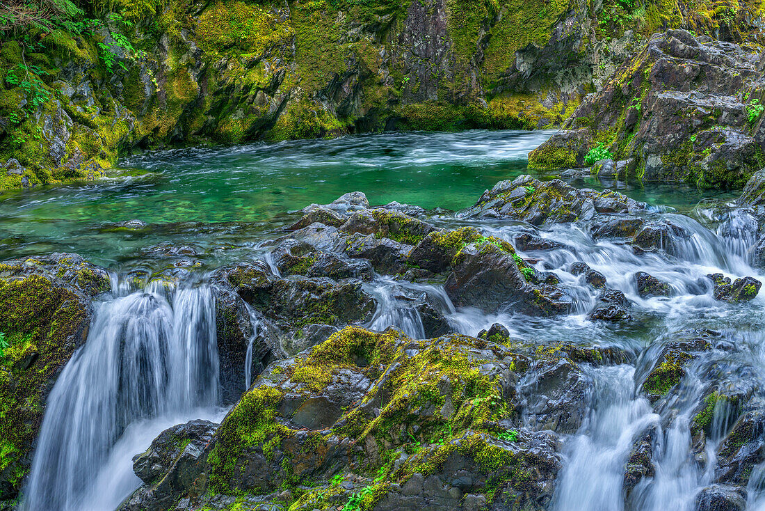 USA, Oregon, Willamette National Forest, Opal Creek Scenic Recreation Area, Mehrere kleine Wasserfälle und der reißende Fluss Opal Creek mit üppiger Vegetation in der Umgebung.