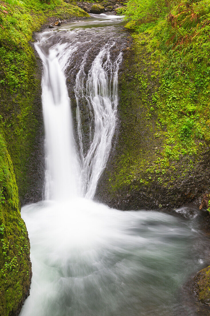 Oregon, Columbia River Gorge National Scenic Area, Oneonta Falls