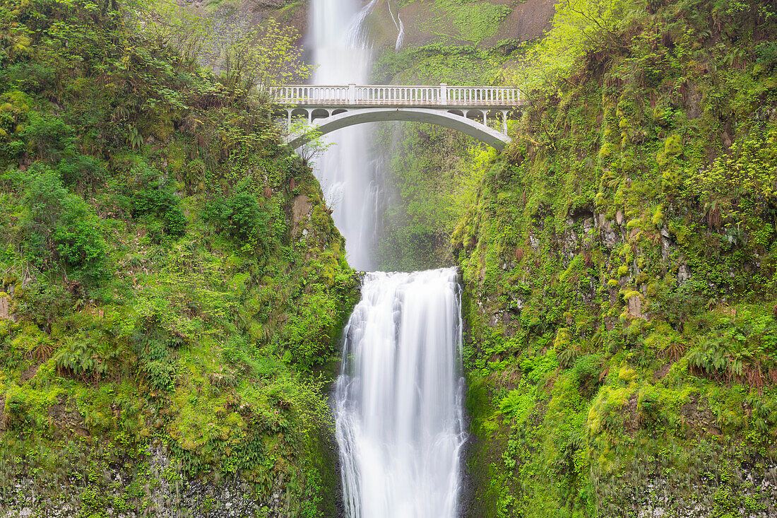 Oregon, Columbia River Gorge National Scenic Area, Multnomah Falls