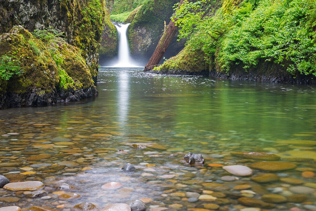 Oregon, Columbia River Gorge National Scenic Area, Punch Bowl Falls