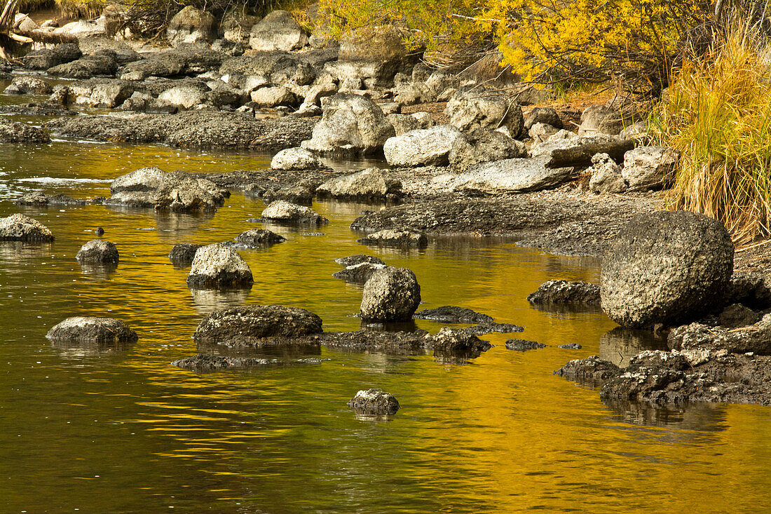 Golden Reflections, Dillon Falls Area, Deschutes River, Deschutes National Forest, Usa
