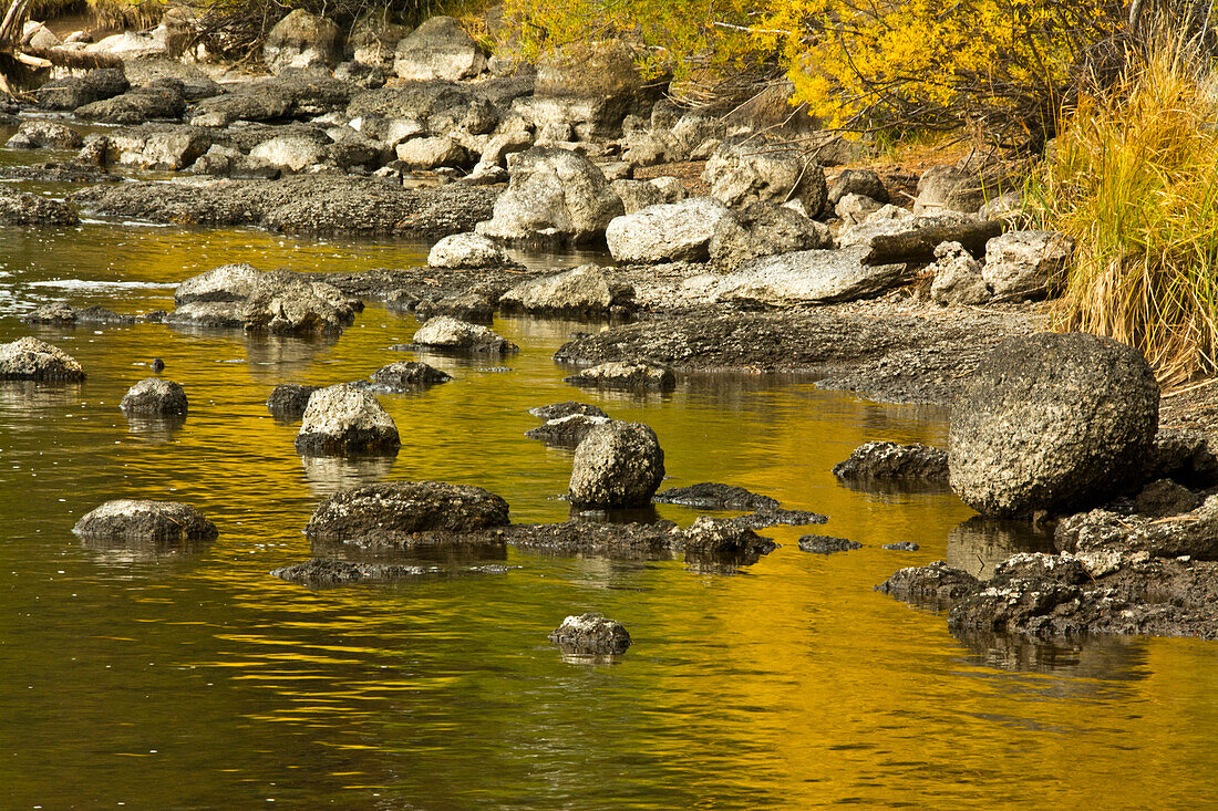 Goldene Reflektionen, Dillon Falls Area, Deschutes River, Deschutes National Forest, USA