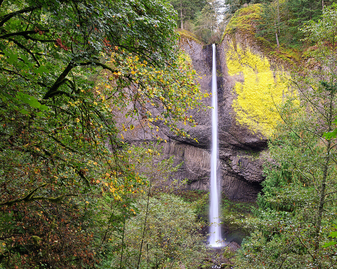 Latourell-Wasserfälle. Columbia River Gorge, Oregon, USA.