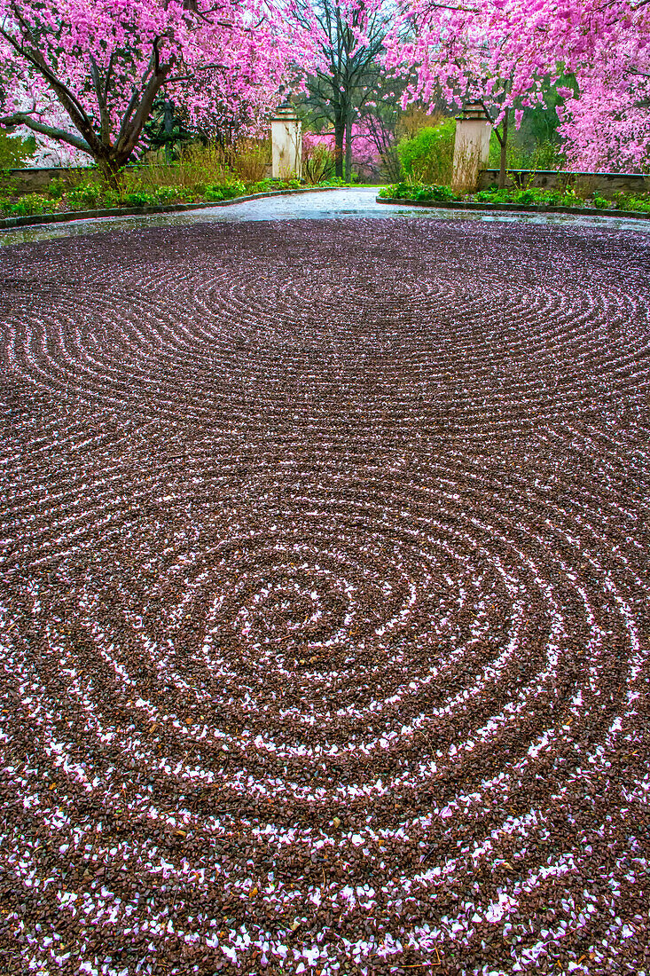 USA, Pennsylvania, Wayne, Chanticleer-Garten. Schottermuster und Frühlingsgarten