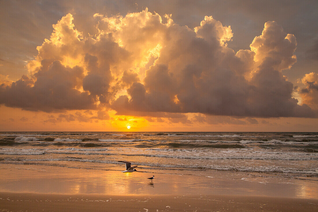 Sunrise on Gulf of Mexico at South Padre Island.