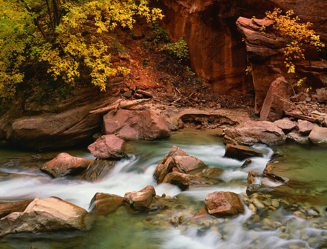 USA, Utah, Zion-Nationalpark. Virgin River in herbstlicher Landschaft