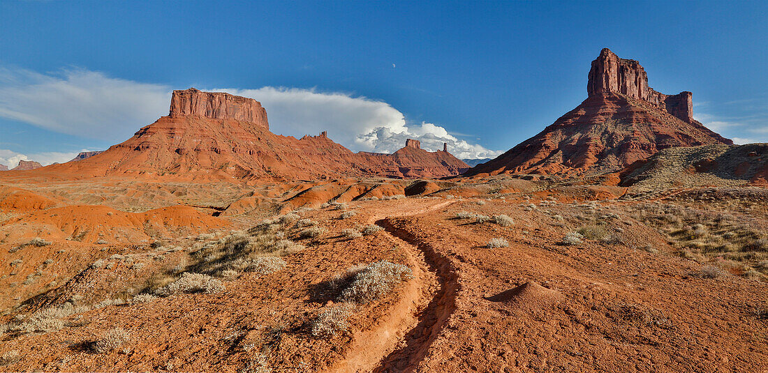 Horse trail leading into Professor Valley, Utah