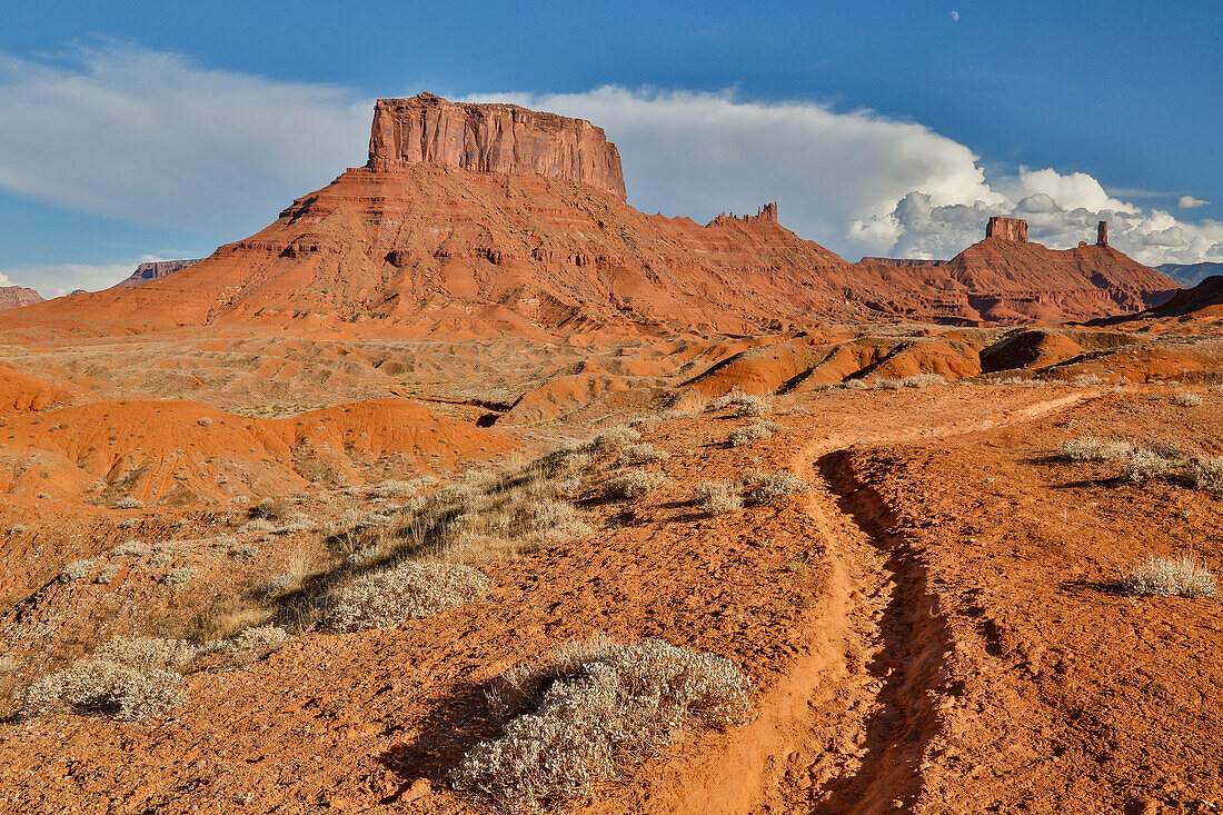 Pferdepfad, der ins Professor Valley führt, Utah