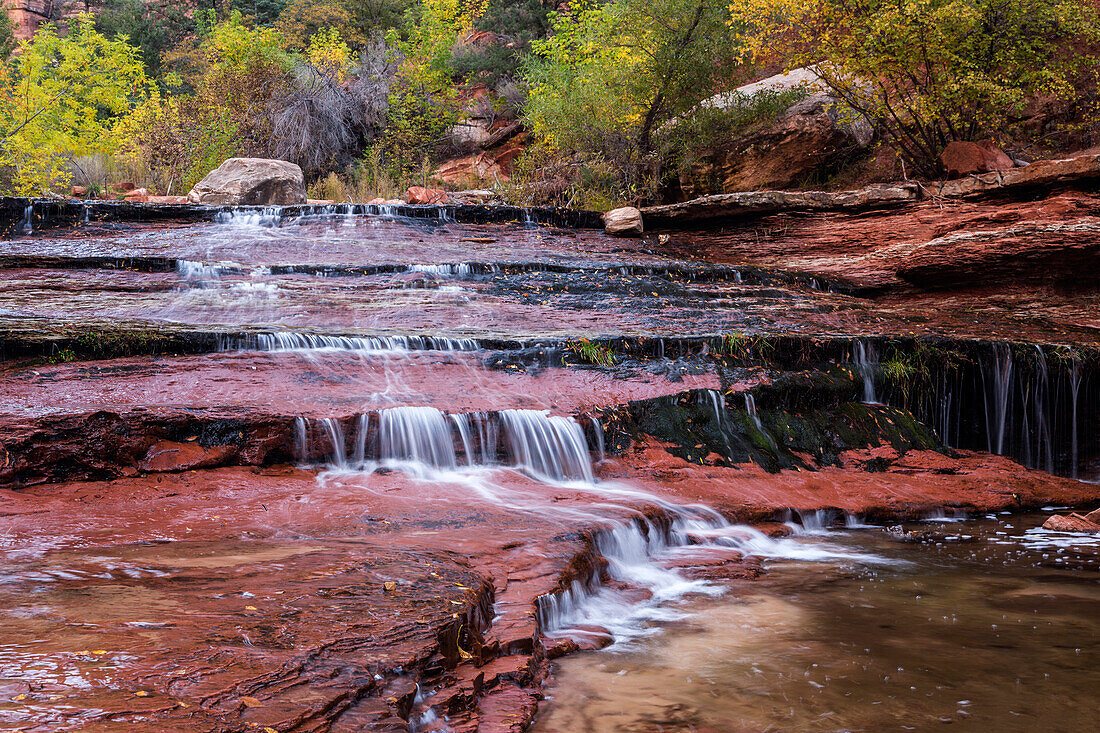 Utah, Zion National Park, water cascading through Left Fork of North Creek