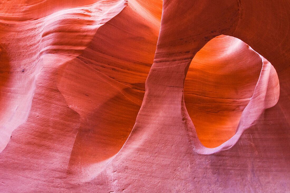 Sandstone formations in Peek-a-boo Gulch, Grand Staircase-Escalante National Monument, Utah, USA