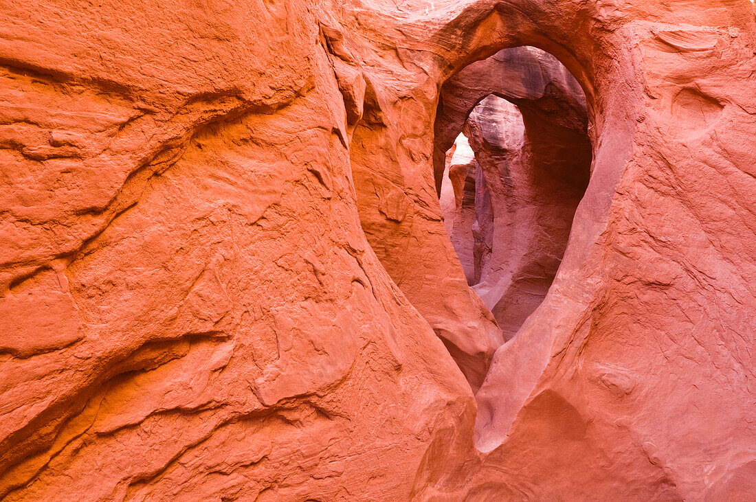 Sandstone formations in Peek-a-boo Gulch, Grand Staircase-Escalante National Monument, Utah, USA