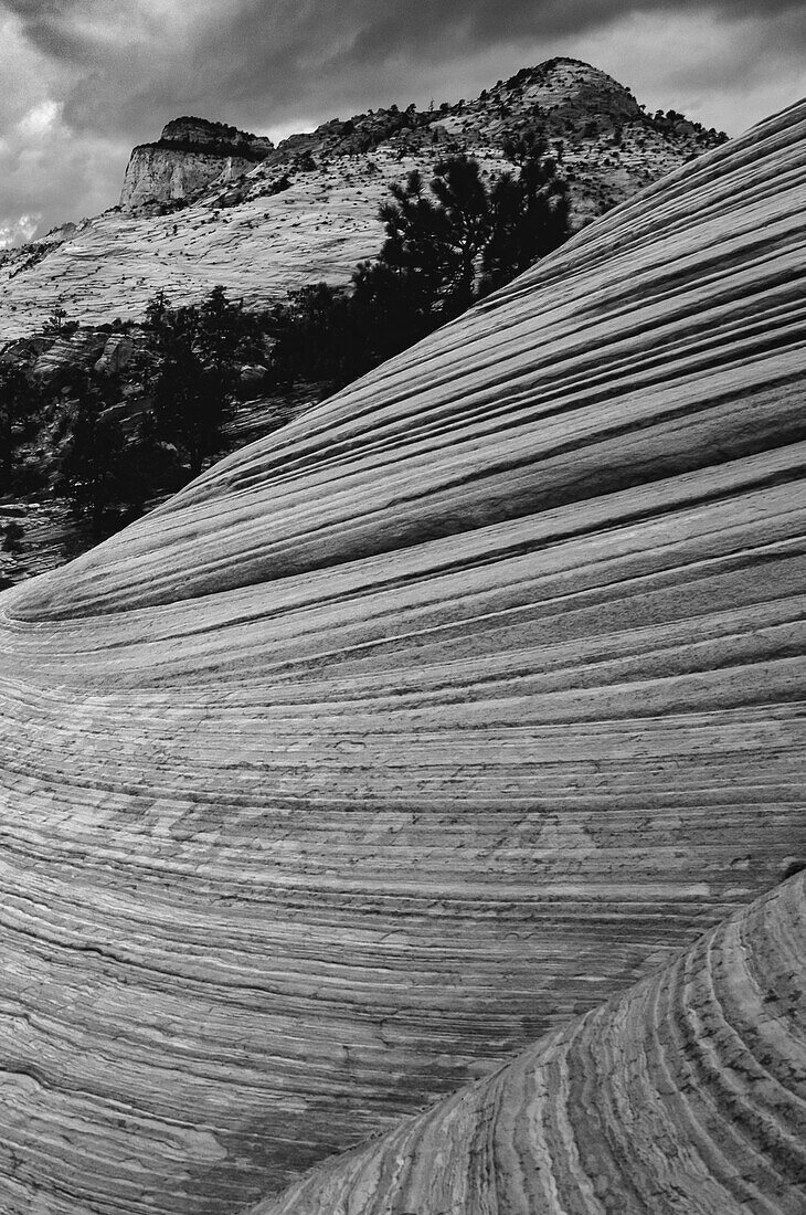 Zion National Park, Utah