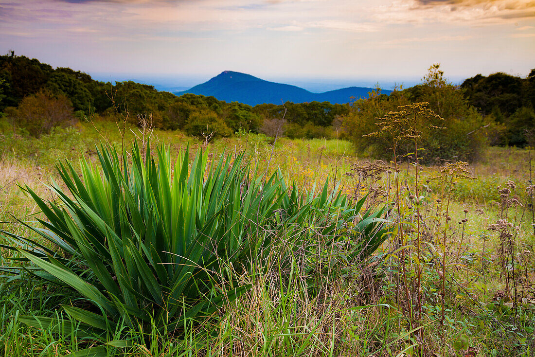 Shenandoah-Blick, Blue Ridge Parkway, Smoky Mountains, USA.