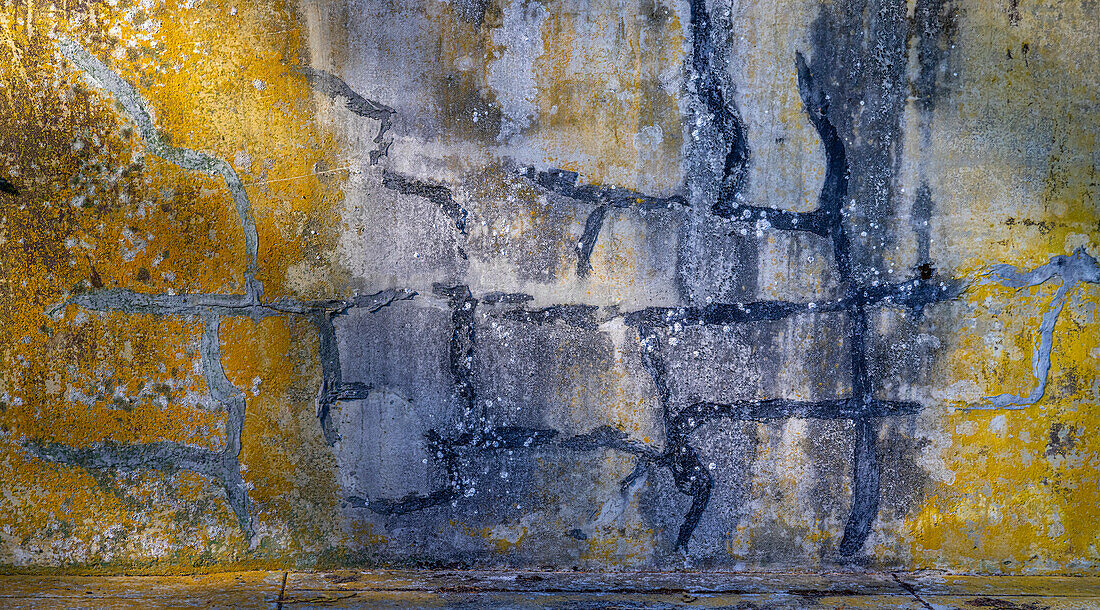 USA, Bundesstaat Washington, Fort Flagler State Park. Abstraktes Muster, Panorama einer verwitterten Wand.