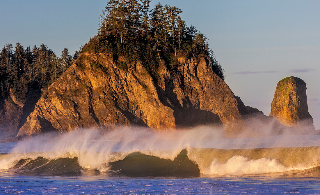 Meeresstapel und Wellen im ersten Licht am Rialto Beach im Olympic National Park, Washington State, USA