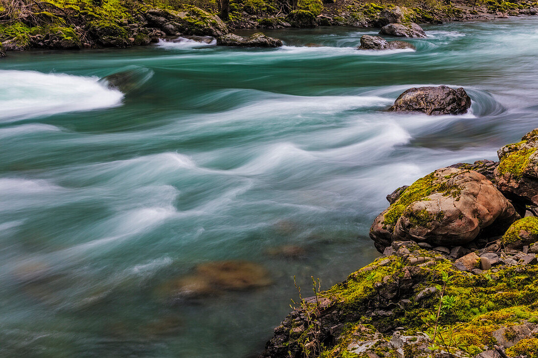 Der Elwha River im Olympic National Park, Washington State, USA