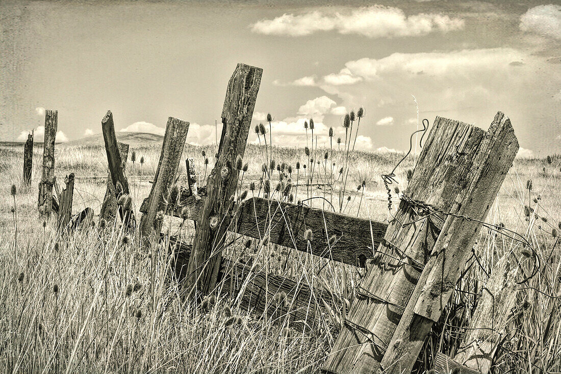 USA, Washington State, Palouse Hills. Old wooden fence