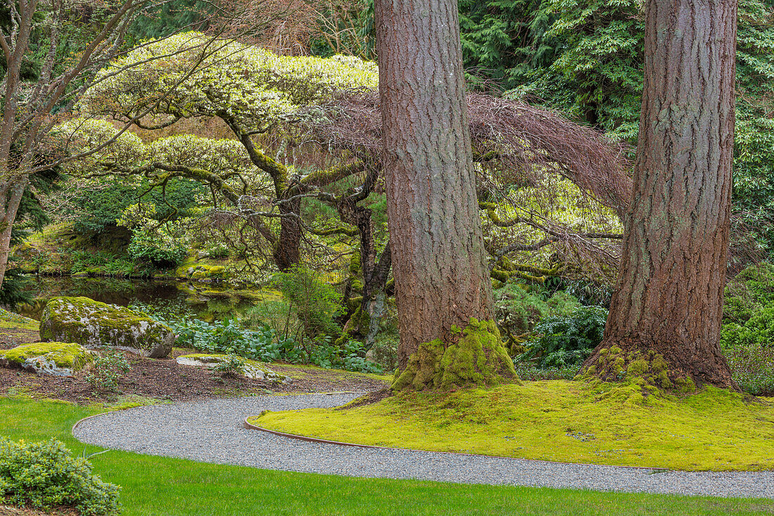 USA, Bundesstaat Washington, Bainbridge Island. Japanischer Garten im Bloedel-Reservat