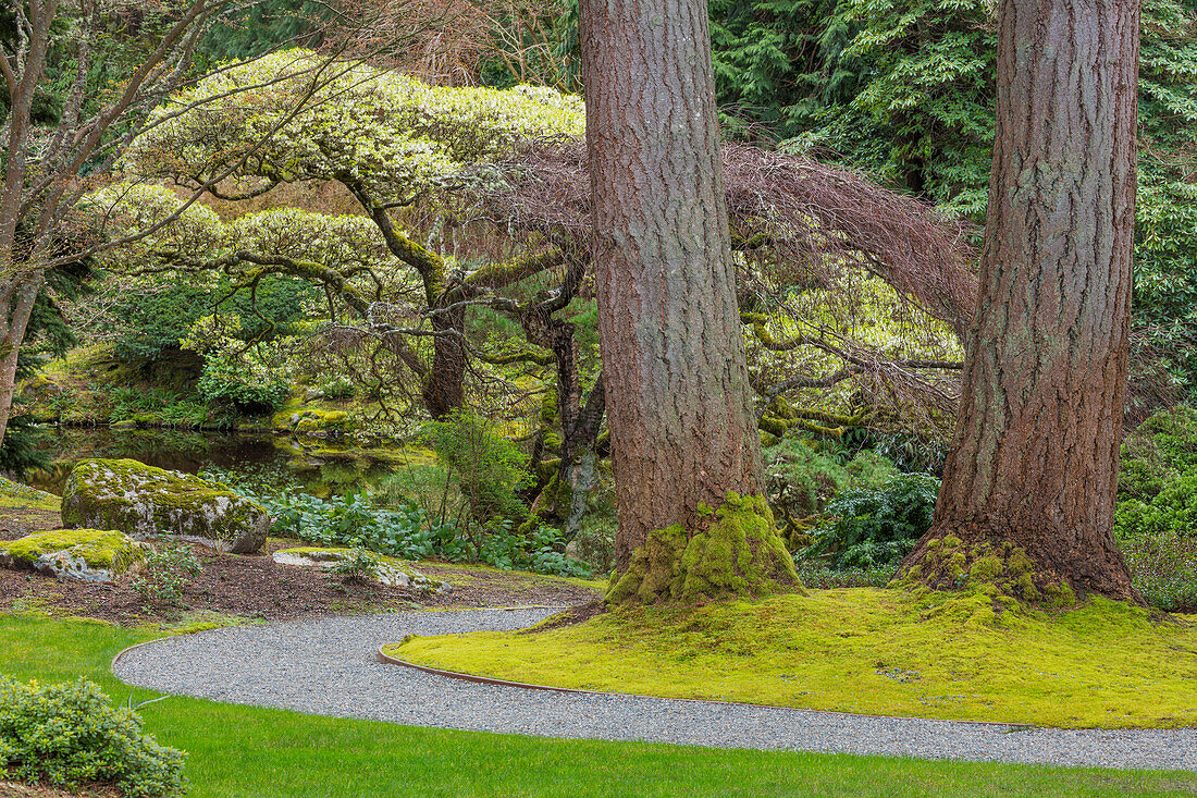 USA, Washington State, Bainbridge Island. Japanese Garden in The Bloedel Reserve