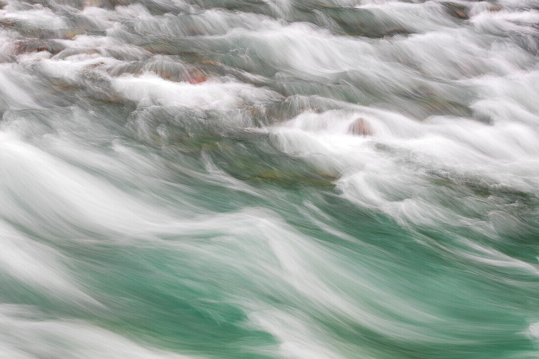 North Fork Skokomish River, Olympic National Park, Washinton State, USA