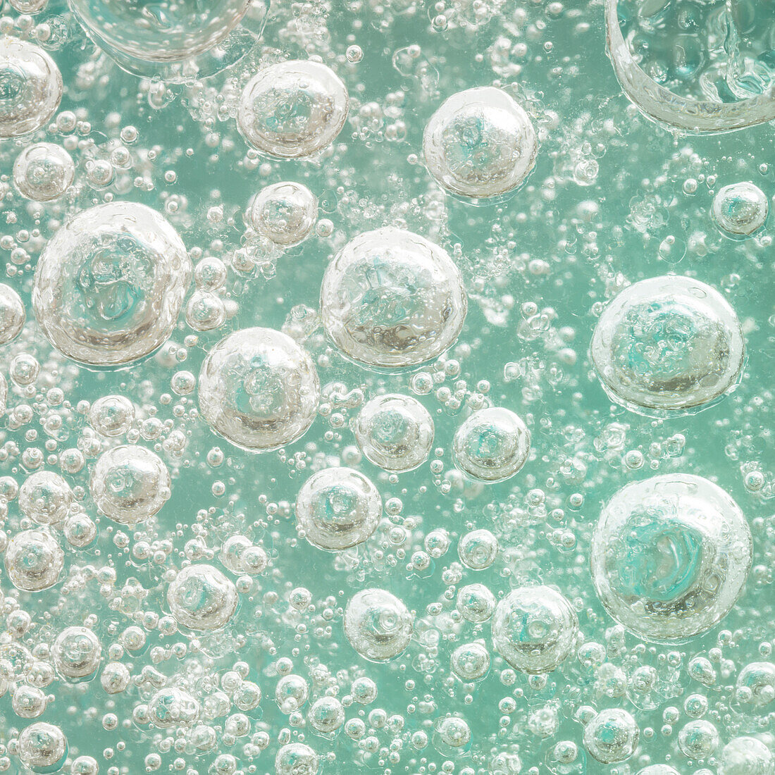 USA, Washington State, Seabeck. Bubbles frozen in ice