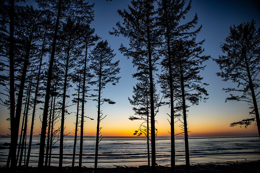 Ruby Beach, Forks, Bundesstaat Washington, USA. Olympic-Nationalpark