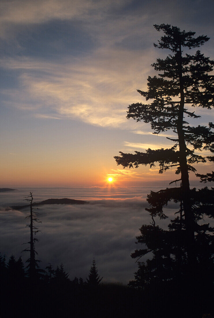 WA, Olympic National Park, Hurricane Ridge, Sonnenaufgang in der Nähe des Observationspunktes