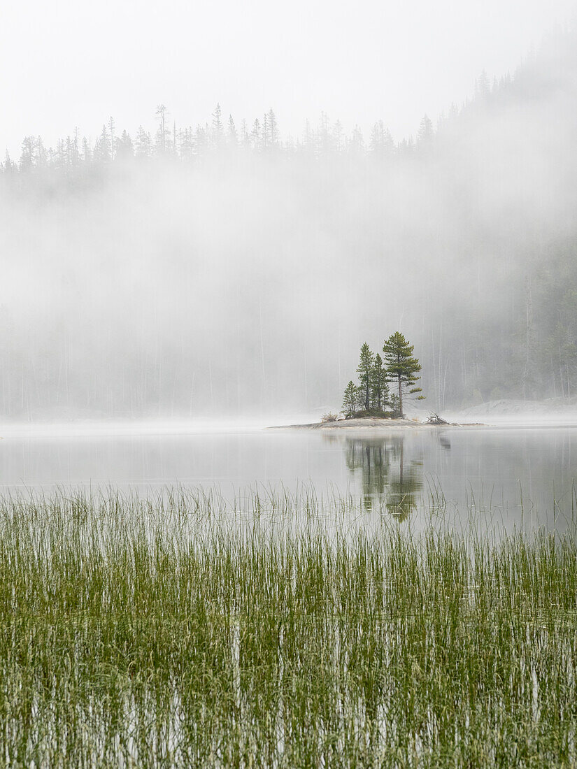 Bundesstaat Washington, Alpine Lakes Wilderness. Snow Lake, Insel und Nebel