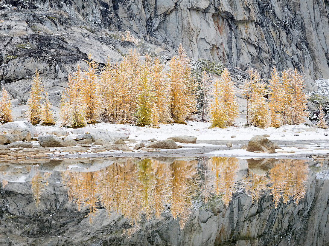 Bundesstaat Washington, Alpine Lakes Wilderness. Enchantment Lakes, schneebedeckte Lärchen, Spiegelung im Gnome Tarn