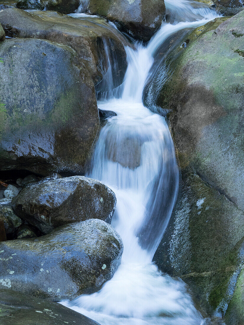 USA, Bundesstaat Washington. Zentrale Kaskaden, Martin Creek Wasserfälle