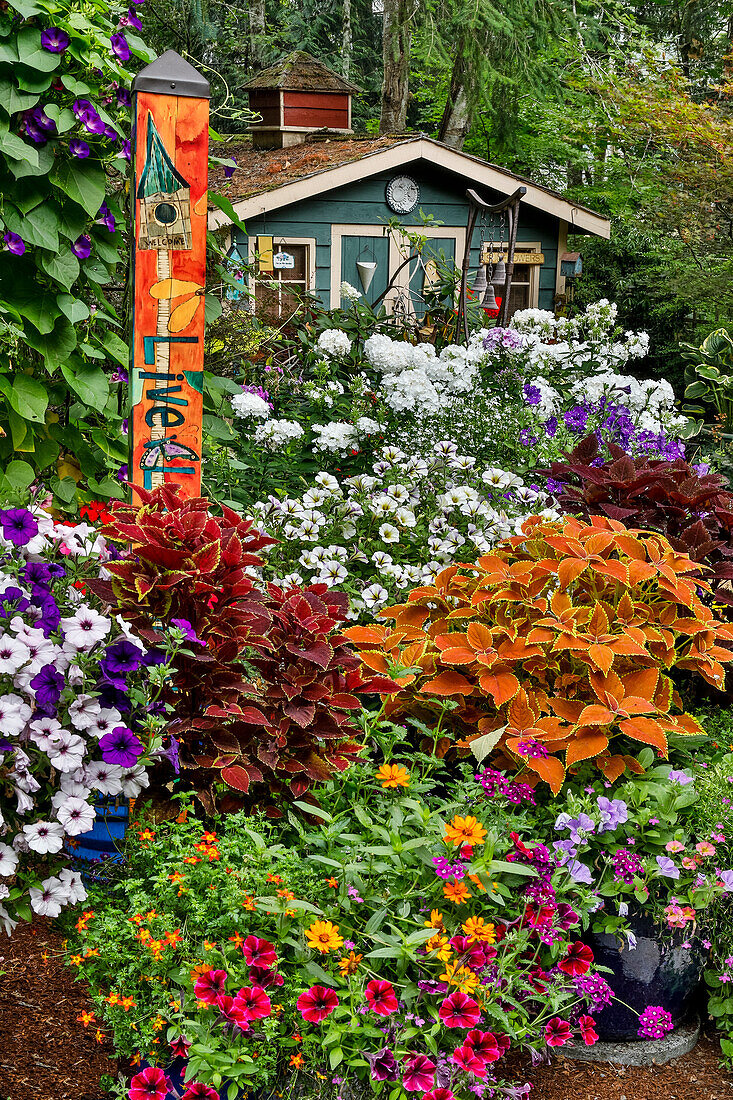 Voll erblühter Garten mit Gartenhaus, Sammamish, Bundesstaat Washington