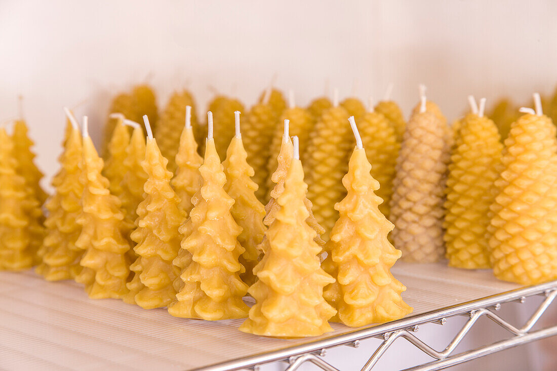 Maple Valley, Washington State, USA. Handmade tree-shaped and pinecone-shaped beeswax candles ready for sale.