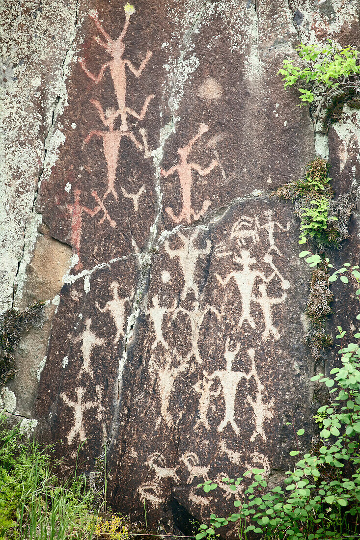 Hells Canyon National Recreation Area, Washington State, USA. Native American petroglyphs of people, deer and bighorn sheep at Buffalo Eddy in the Snake River.