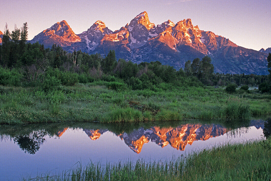 USA, Wyoming, Grand Teton National Park. Mountains reflect in beaver pond at sunrise